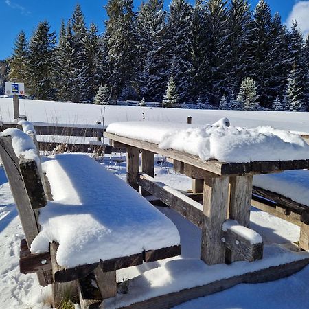 Wohlfuehl-Appartement Bergsee Family - Am Wildsee - Sup Und Schlitten For Free Seefeld in Tirol Exteriör bild