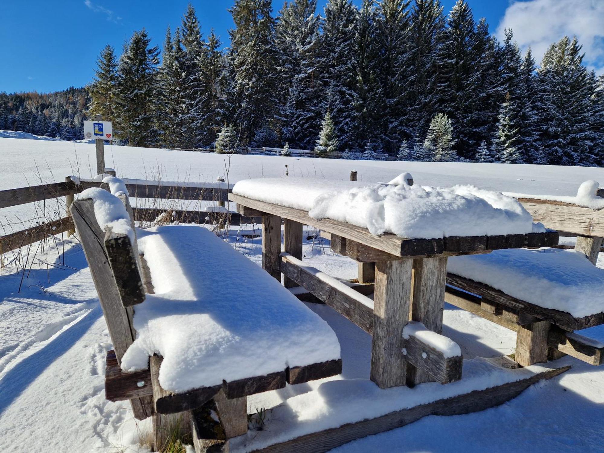 Wohlfuehl-Appartement Bergsee Family - Am Wildsee - Sup Und Schlitten For Free Seefeld in Tirol Exteriör bild