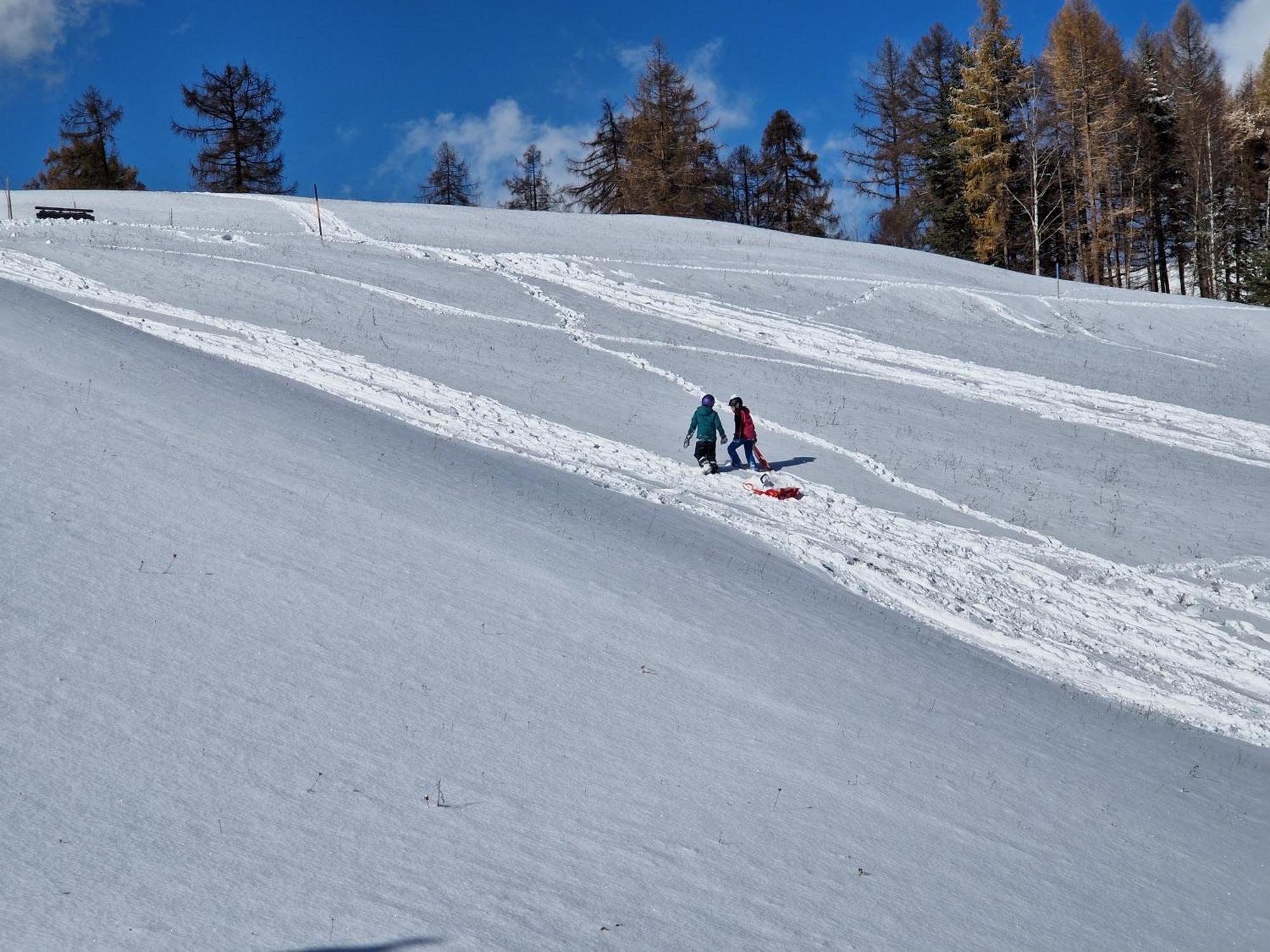 Wohlfuehl-Appartement Bergsee Family - Am Wildsee - Sup Und Schlitten For Free Seefeld in Tirol Exteriör bild