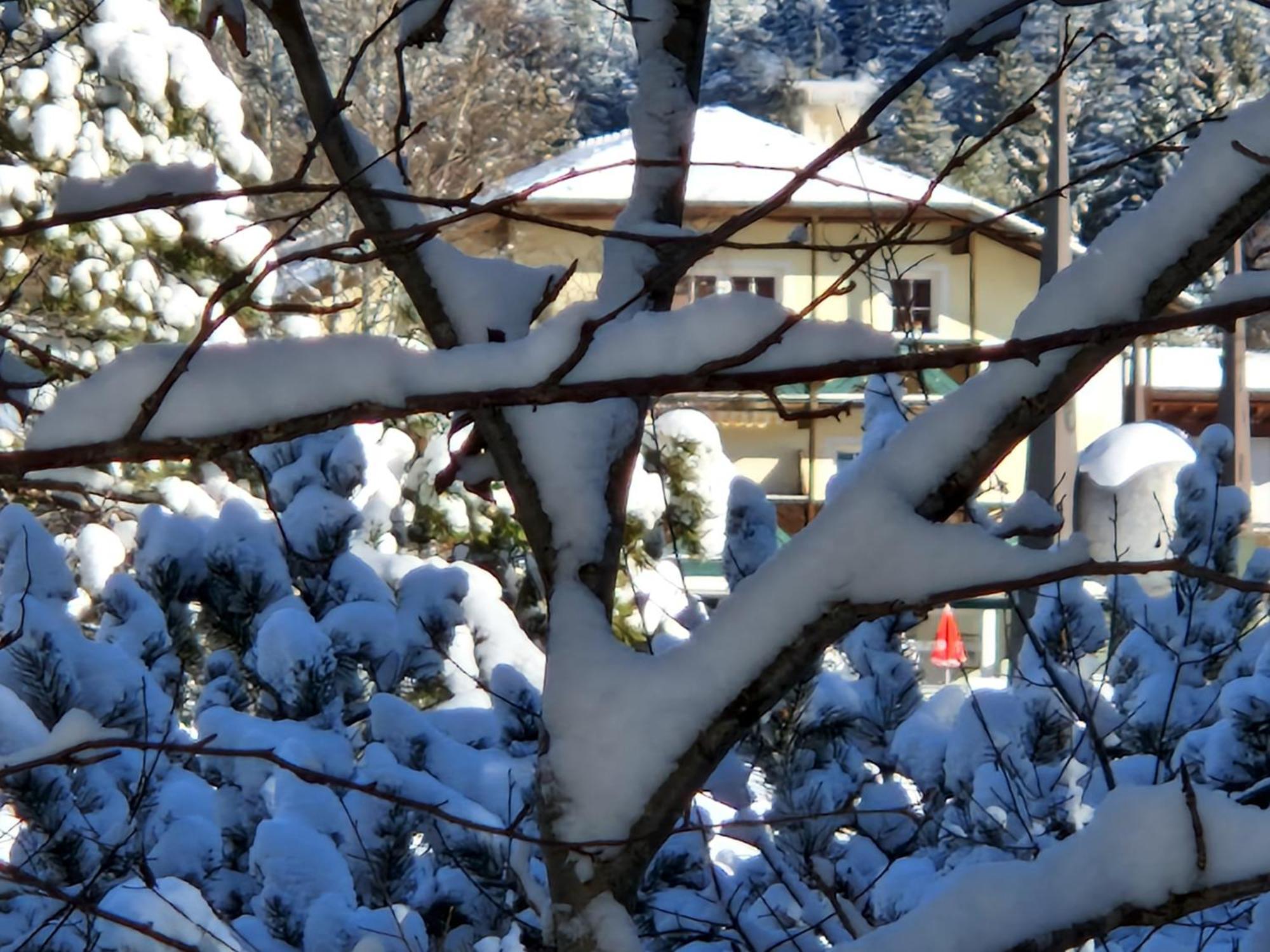 Wohlfuehl-Appartement Bergsee Family - Am Wildsee - Sup Und Schlitten For Free Seefeld in Tirol Exteriör bild