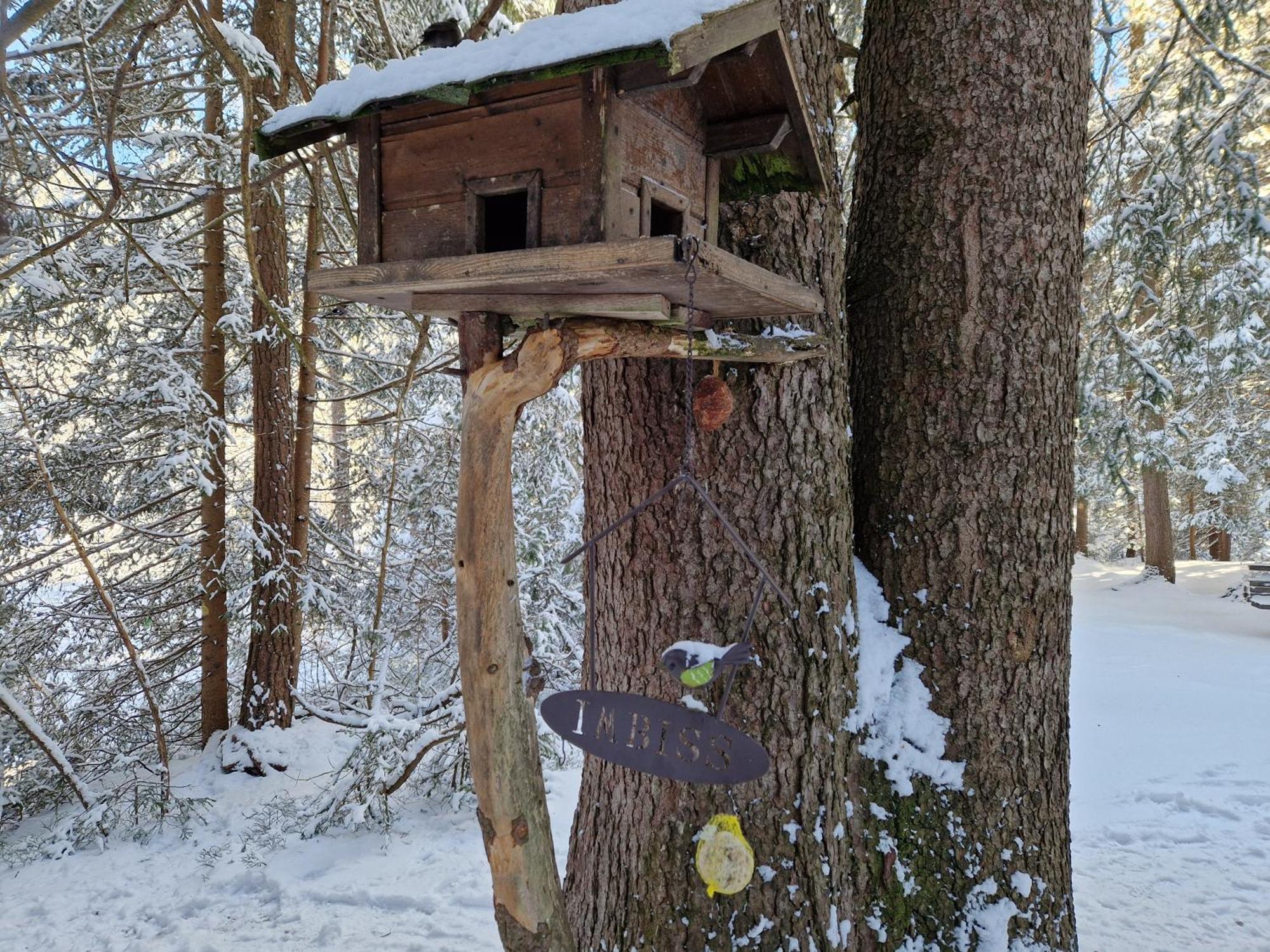 Wohlfuehl-Appartement Bergsee Family - Am Wildsee - Sup Und Schlitten For Free Seefeld in Tirol Exteriör bild